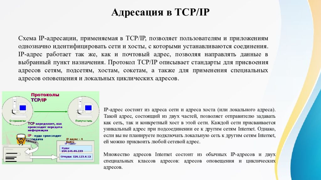 Презентация на тему сетевое программное обеспечение