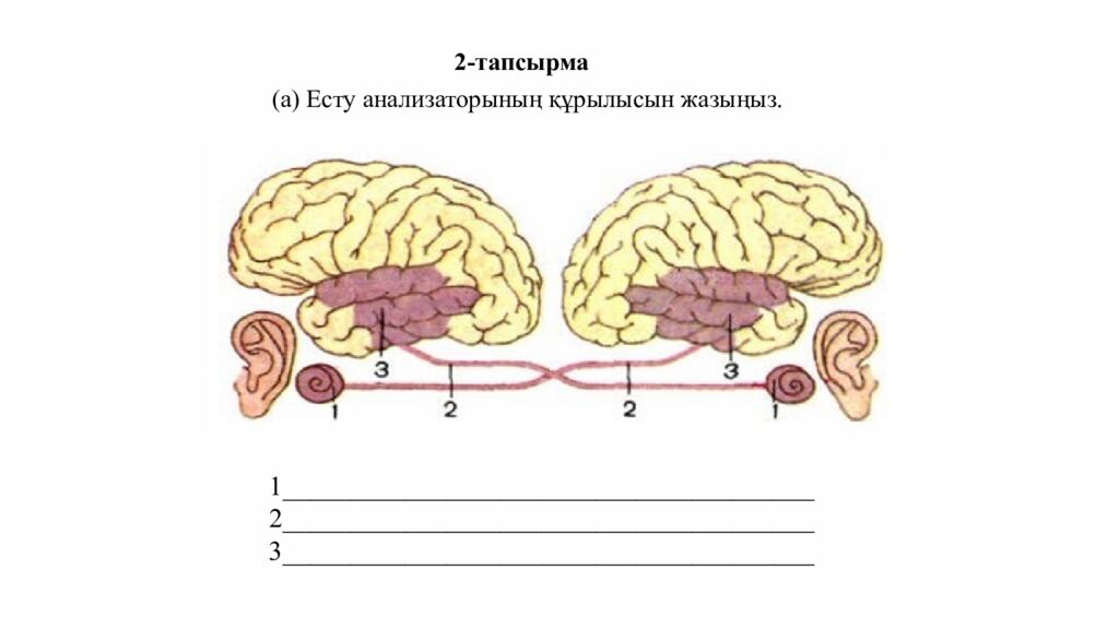 ПСИХОЛОГИЯЛЫ Қ АТМОСФЕРА ОРНАТУ « Кубик» әдісі бойынша жағымды психологиялық