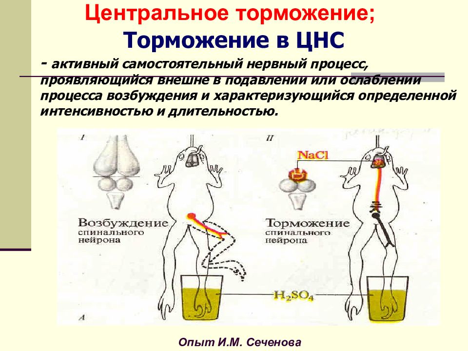 Схему развития внутреннего торможения в результате неподкрепления и отставания подкрепления