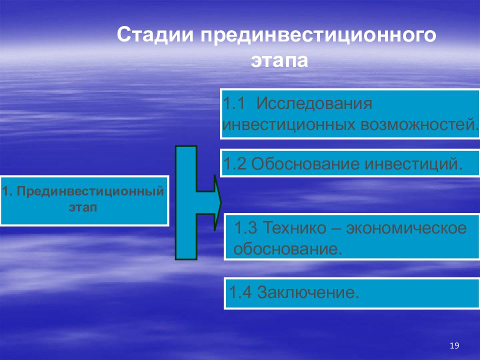 Прединвестиционная фаза проекта