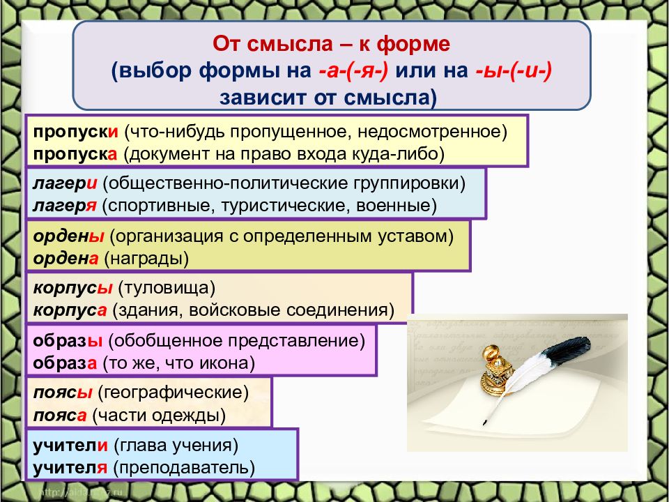 Именительный падеж множественного числа. Пропуск множественное число. Пропуск множесвеное чисто. Формы именительного падежа множественного числа. Существительные в форме именительного падежа множественного числа.