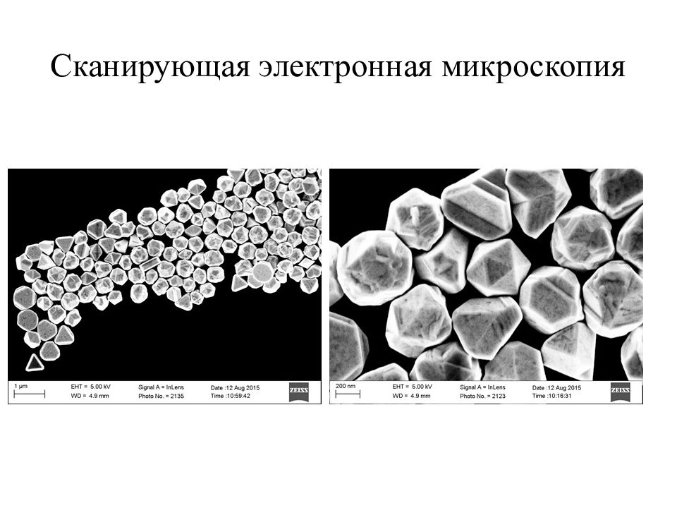 Сканирующая электронная микроскопия. Сэм сканирующая электронная микроскопия. Сканирующая электронная микроскопия принцип метода. Сканирующая микроскопия суть метода. Микроскопия наноструктур сканирующий.