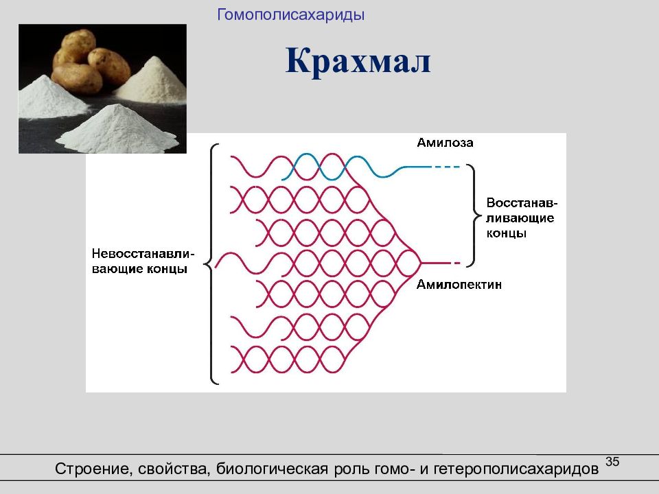 Крахмал строение. Структурное строение крахмала. Строение амилозы крахмала. Структура крахмала. Строение крахмала биология.