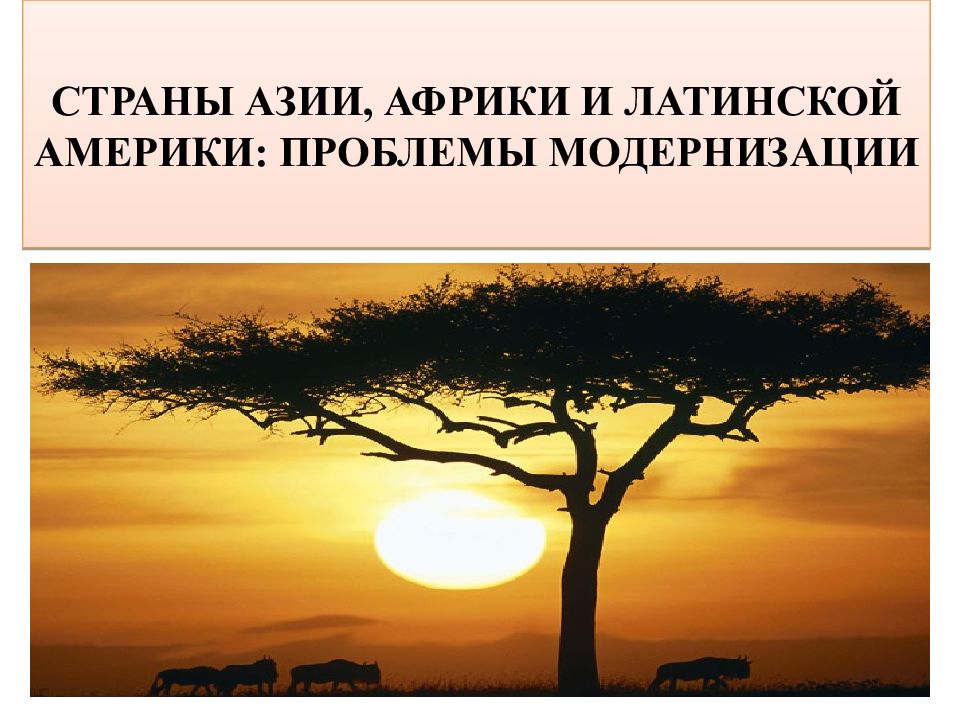 СТРАНЫ АЗИИ, АФРИКИ И ЛАТИНСКОЙ АМЕРИКИ: ПРОБЛЕМЫ МОДЕРНИЗАЦИИ