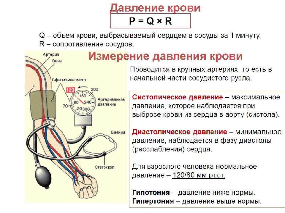 Артериальное давление общее свойство живых систем. Болезнь простаты и артериальное давление.