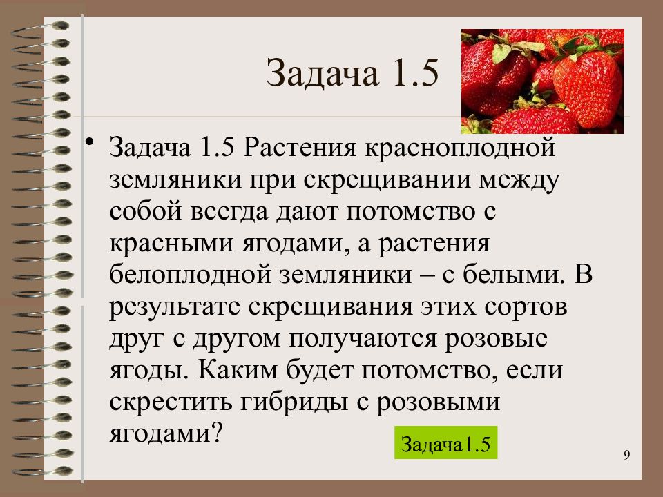 Задача про ягоды. При скрещивании красноплодной земляники. Растения красноплодной земляники. Скрещивания красноплодн с белоплодной земляники.