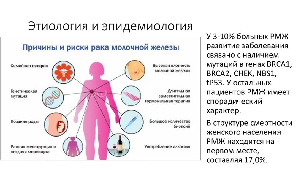 Рак молочной железы презентация по онкологии