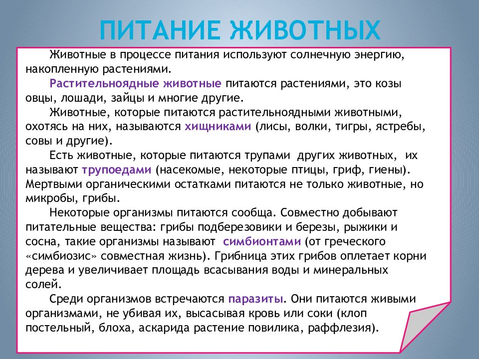 Презентация жизнедеятельность организмов 5 класс. Особенности питания животных. Особенности питания растений и животных. Характер питания у животных. Процесс питания животных.