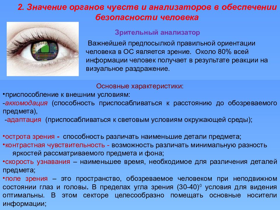 Органы ощущений человека. Значение органов чувчт. Роль органов чувств. Значение органов чувств. Значение анализаторов.