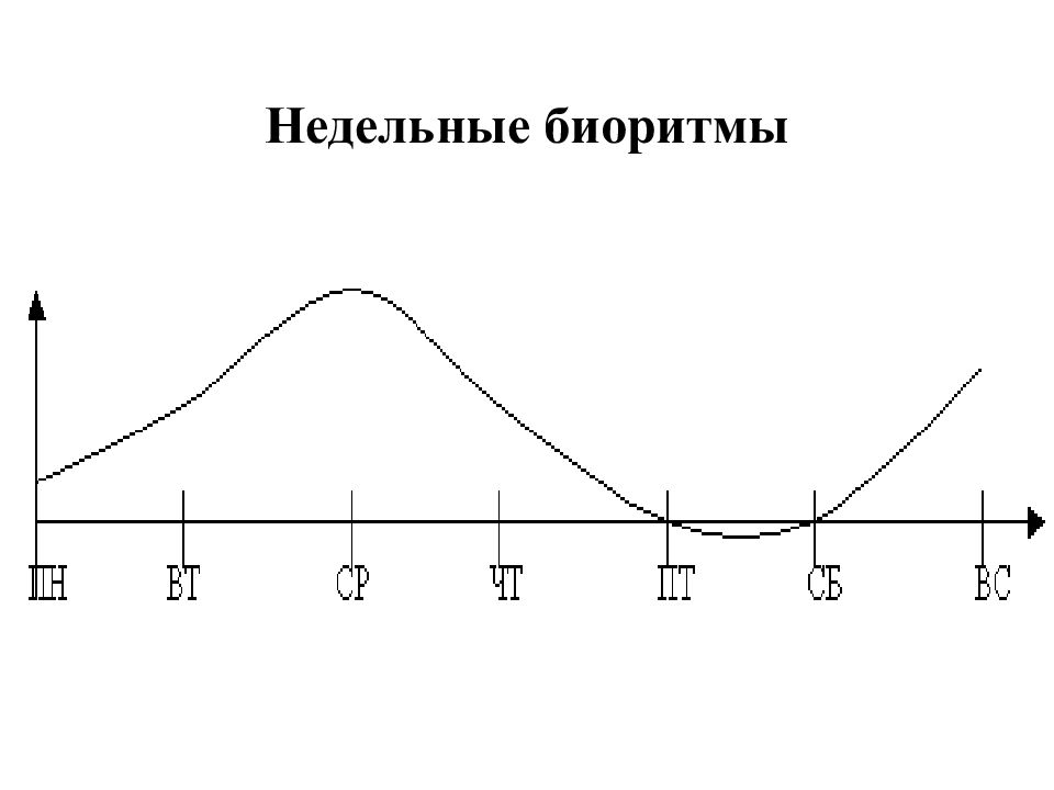 Биологические ритмы и их влияние на работоспособность человека презентация