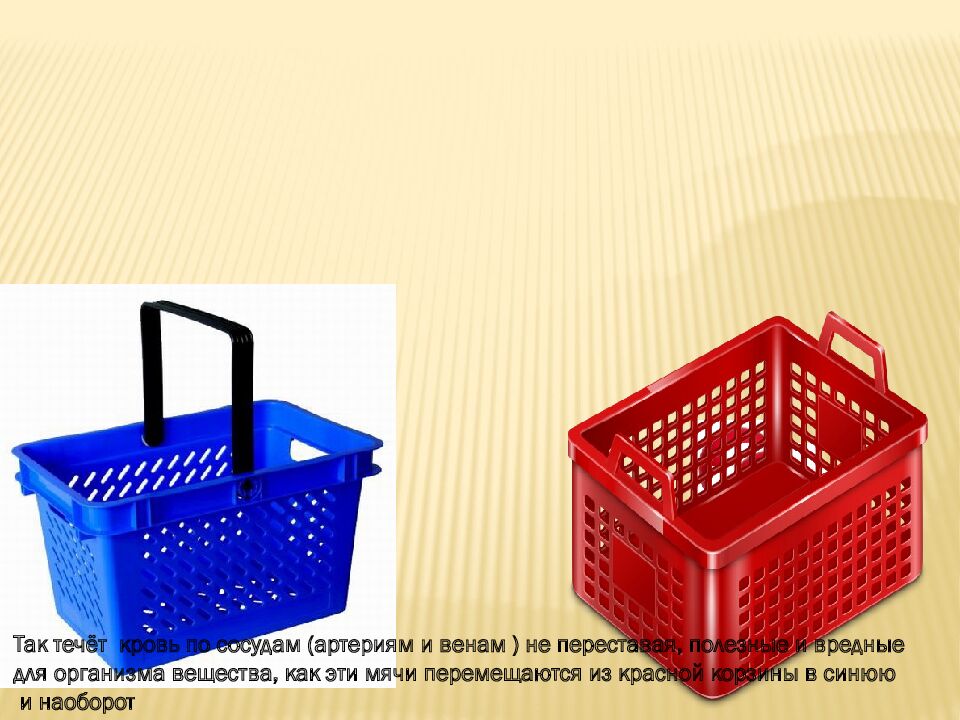 Как работает наше сердце