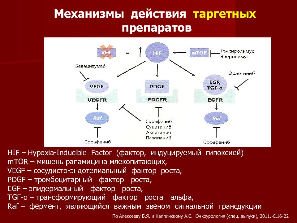 Таргетный рак. Таргетные Противоопухолевые препараты механизмы действия. Таргетная терапия механизмы. Механизм действия таргетных препаратов. HIF фактор индуцированный гипоксией.