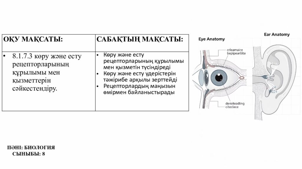 ПСИХОЛОГИЯЛЫ Қ АТМОСФЕРА ОРНАТУ « Кубик» әдісі бойынша жағымды психологиялық