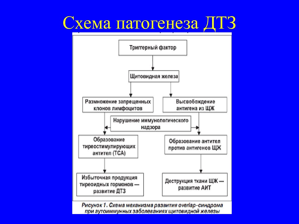 Патогенез тиреотоксикоза. Патогенез диффузного токсического зоба схема. Патогенез болезни Грейвса схема. Патогенез базедовой болезни схема. Болезнь базедова Грейвса патогенез.