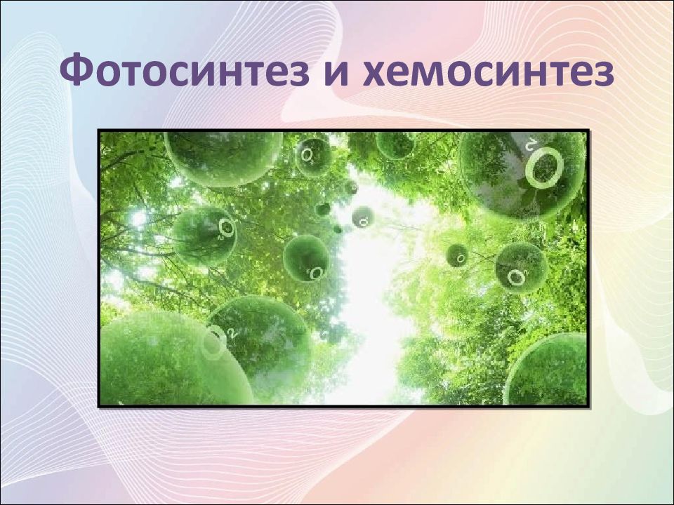 Фотосинтез и хемосинтез
