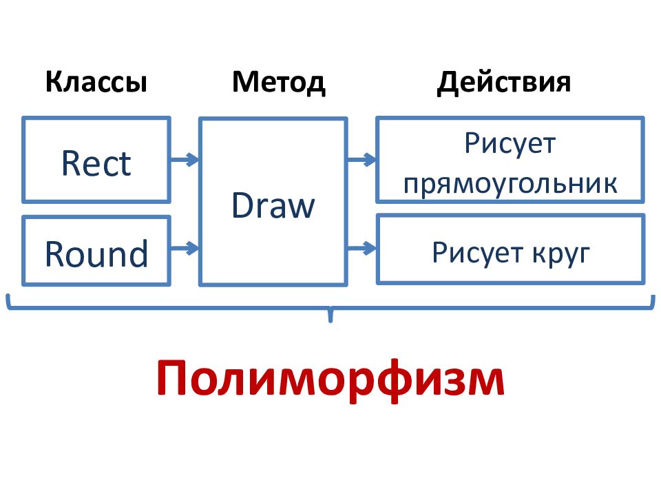 Презентация введение в программирование