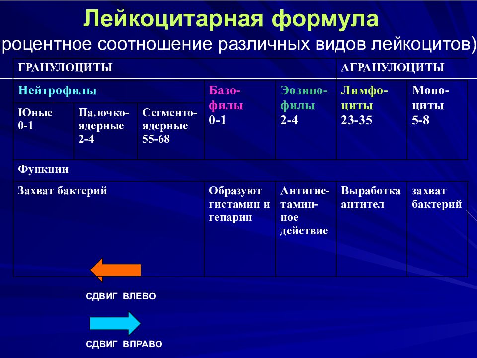 Лейкоцитарная формула крови сдвиги. Лейкоцитарная формула физиология. Лейкоцитарная формула и функции лейкоцитов. Нормальные показатели лейкоцитарной формулы. Показатели лейкоцитарной формулы крови.