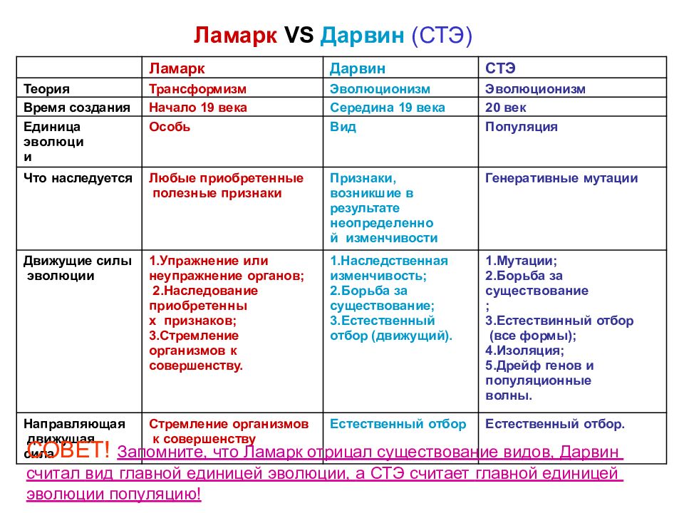 Линней ламарк дарвин презентация