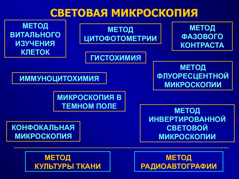 Применение метода микроскопии. Световая микроскопия методы изучения. Методы световой микроск. Методы светового микроскопирования. Методы исследования микроскопии.