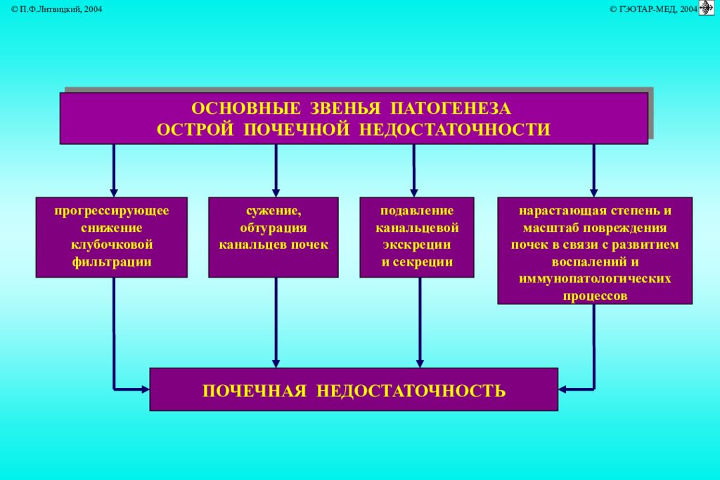 Острая почечная недостаточность патогенез