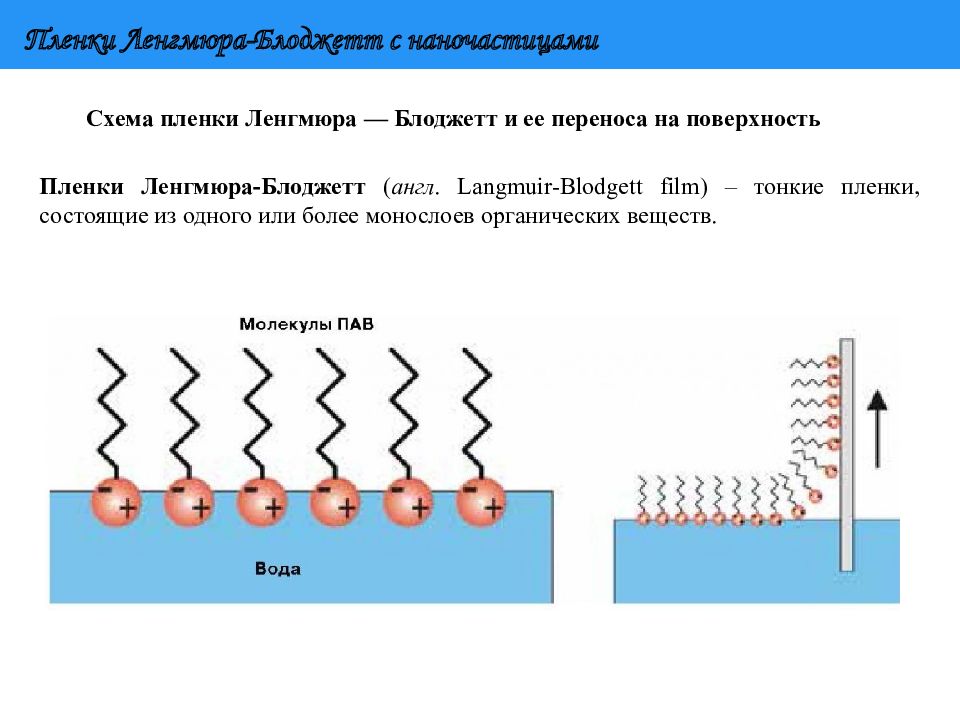 Поверхностных перенос. Метод Ленгмюра-Блоджетт. Синтез в пленках Ленгмюра Блоджетт. Технология Ленгмюра-Блоджетт принцип метода. Слои Ленгмюра-Блоджетт.