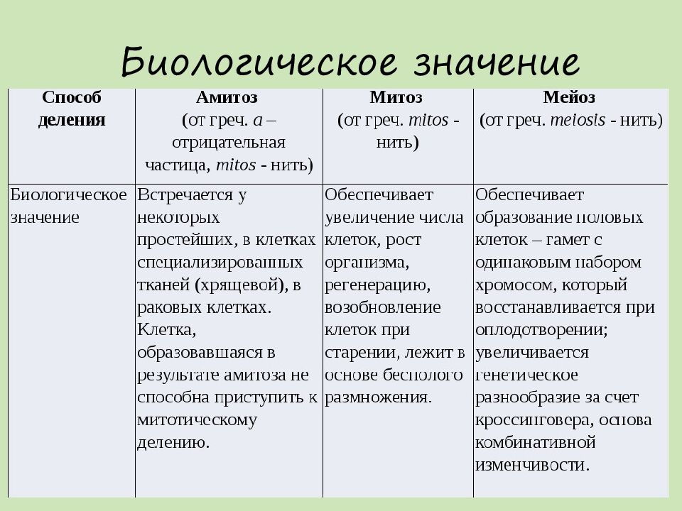 Биологическое значение