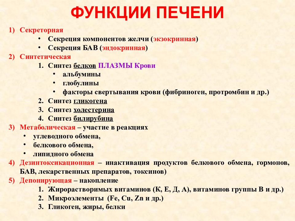 Функции печени огэ. Функции печени. Функции печени гистология. Функции печени и поджелудочной железы. Пять функций печени.