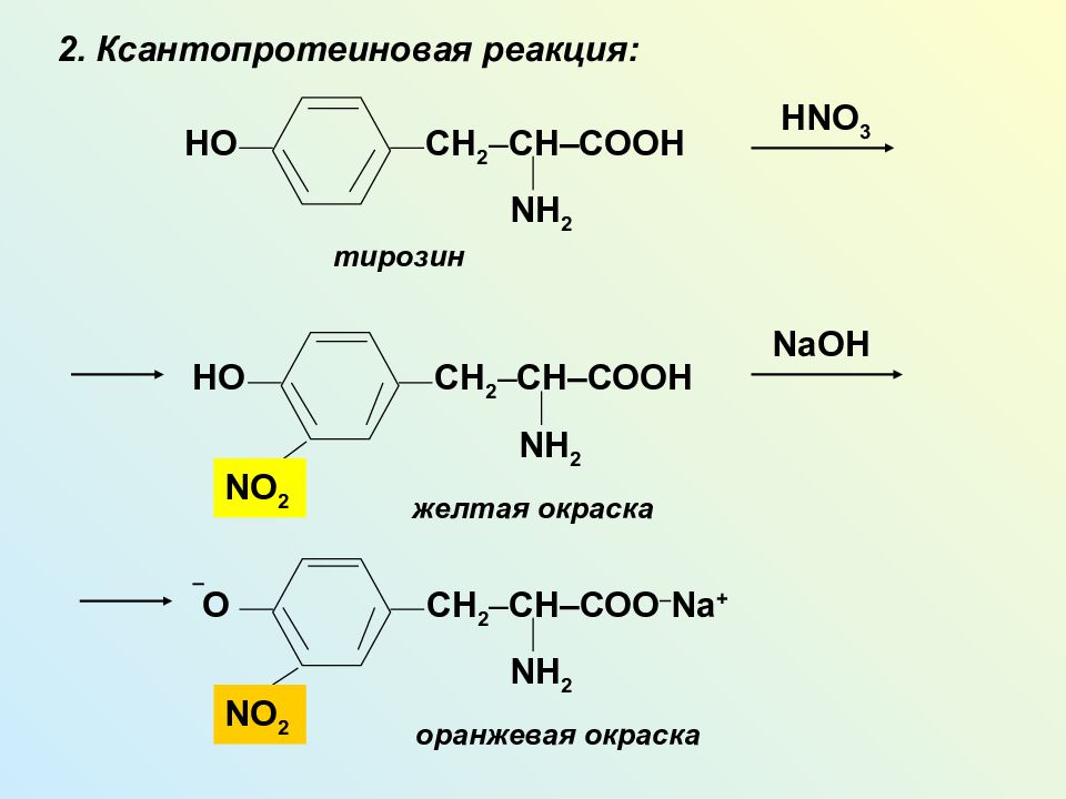 Белки характерные реакции. Ксантопротеиновая реакция на аминокислоты. Ксантопротеиновая реакция обнаружения ароматических аминокислот. Ксантопротеиновая реакция на циклические аминокислоты. Ксантопротеиновая реакция на ароматические аминокислоты в белке.