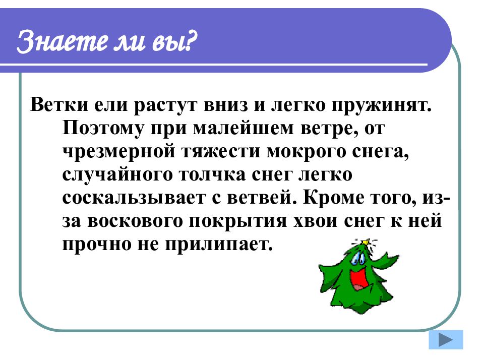 Летом и зимою растет вниз головою. Почему зимой ветки хвойных деревьев не ломаются. Почему ветви хвойных деревьев не ломаются после сильных снегопадов. Почему хвойные деревья не ломаются под тяжестью снега. Почему зимой ветки хвойных деревьев не ломаются под тяжестью снега.