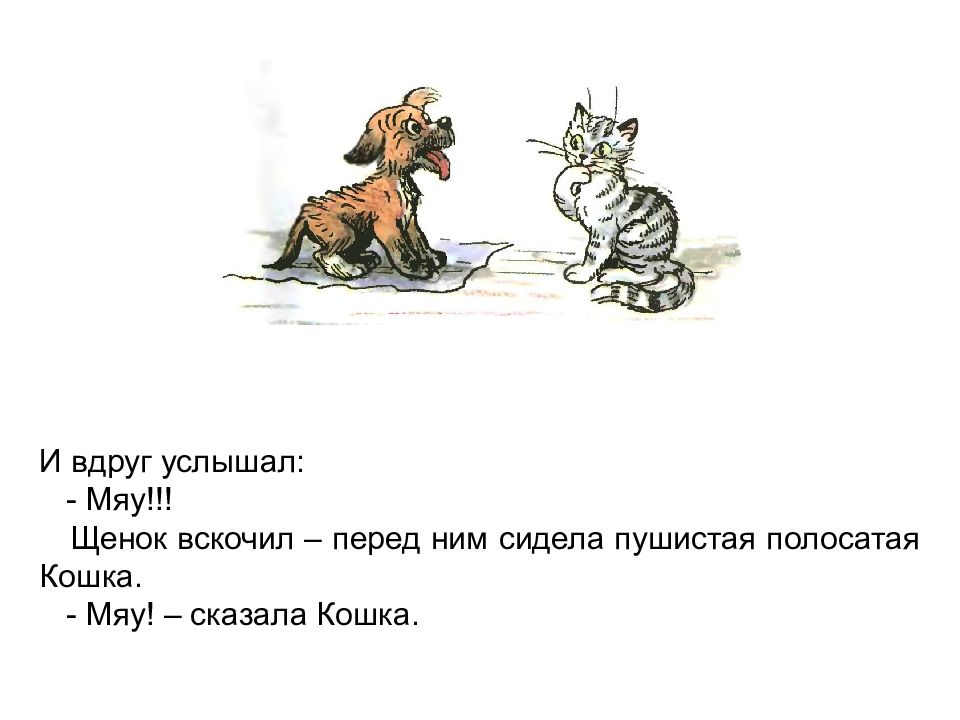 Кто сказал мяу текст. Сутеев щенок. Кто сказал "мяу"?. Герои сказки кто сказал мяу. Герои сказки Сутеева кто сказал мяу.