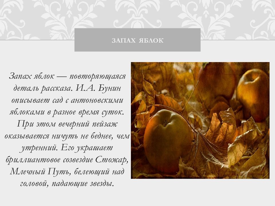 Запахи в произведении антоновские яблоки. Презентация антоновские яблоки 11 класс. Какое вещество имеет запах яблок:. Антоновские яблоки автор. Антоновские яблоки картинки бунин.