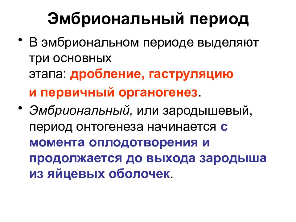 Какой процесс называют онтогенезом какие выделяют периоды
