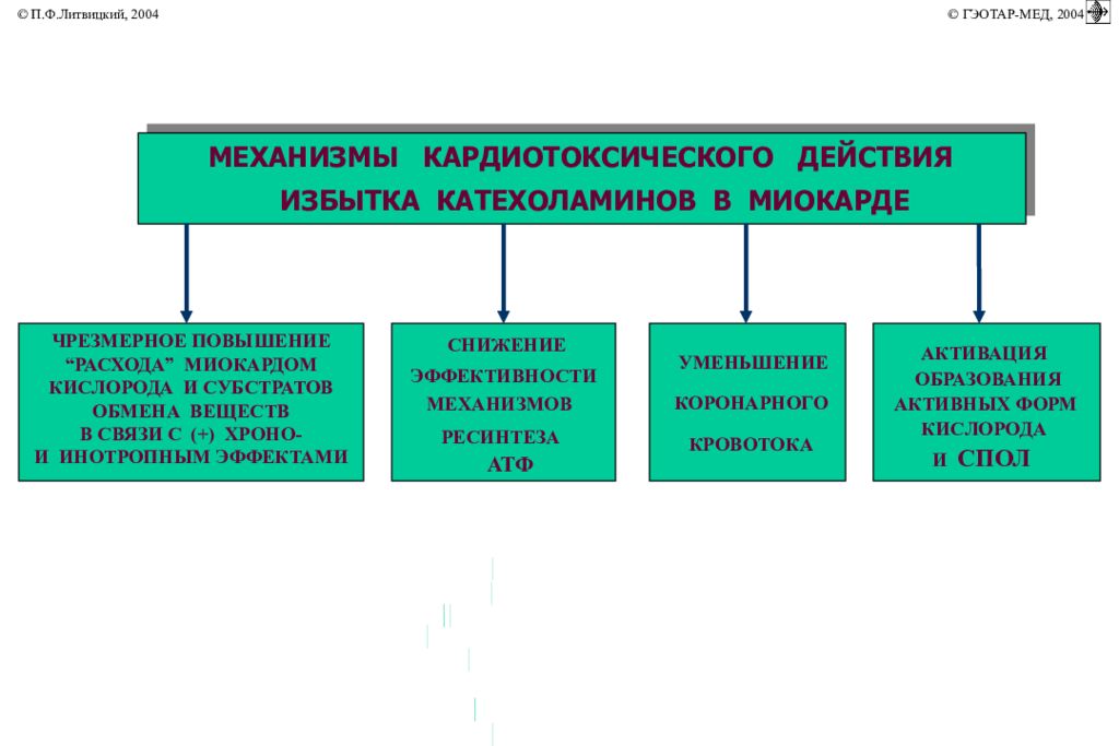 Коронарная недостаточность патофизиология презентация