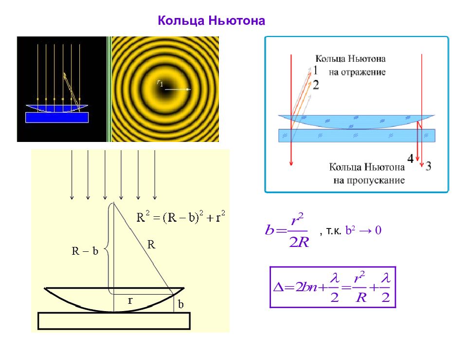 Как изменится картина колец ньютона если наблюдение проводить в проходящем свете