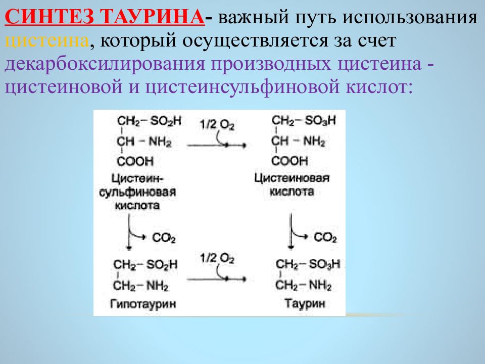 Какая из следующих круговых диаграмм показывает распределение масс элементов в молекуле цистеина