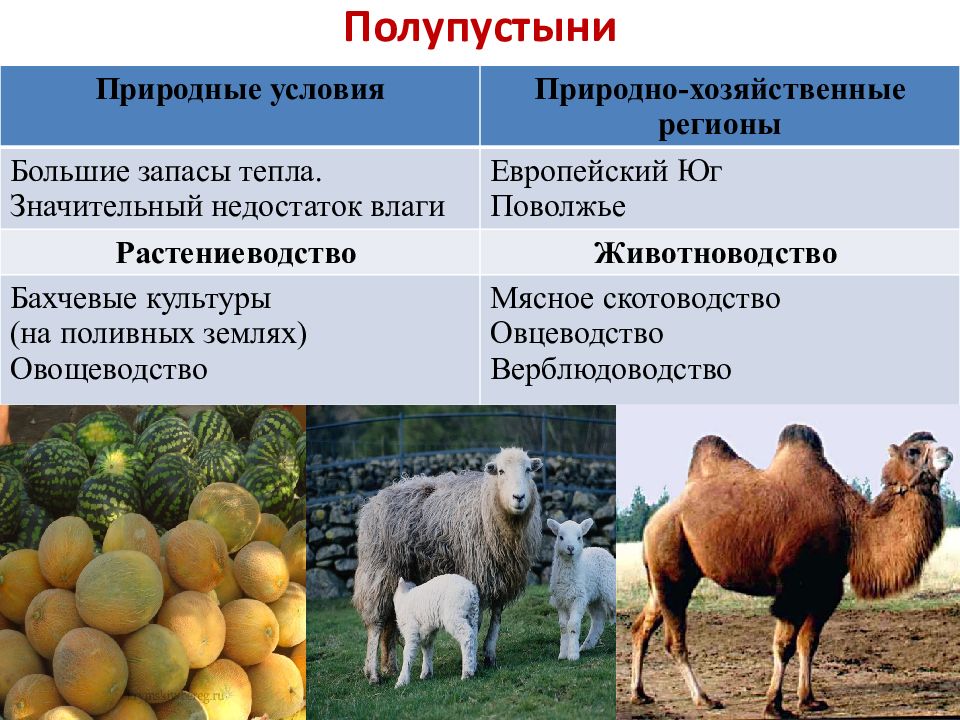 Сельское хозяйство животноводство 9 класс презентация полярная звезда