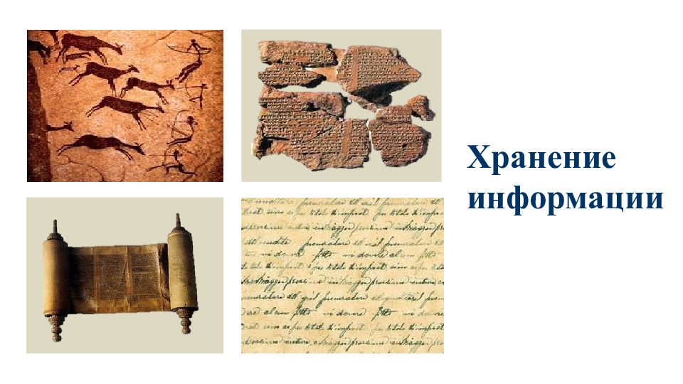 Хранение информации в природе. Хранение информации в природе