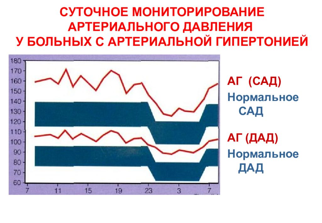 Давление человека в течение суток