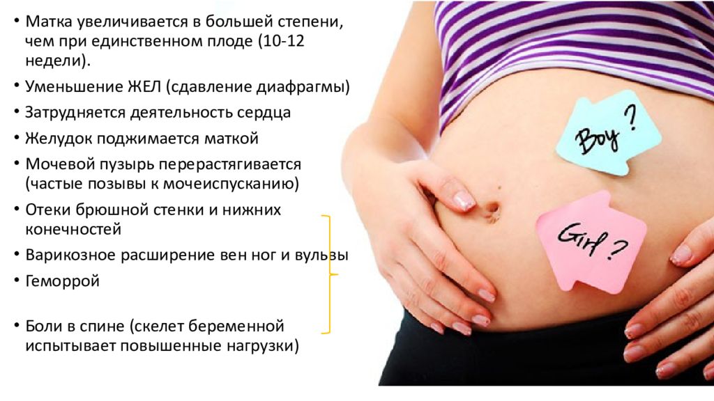 38 недель колит. Многоплодная беременность. Матка на 12 неделе беременности. Увеличение матки по неделям.