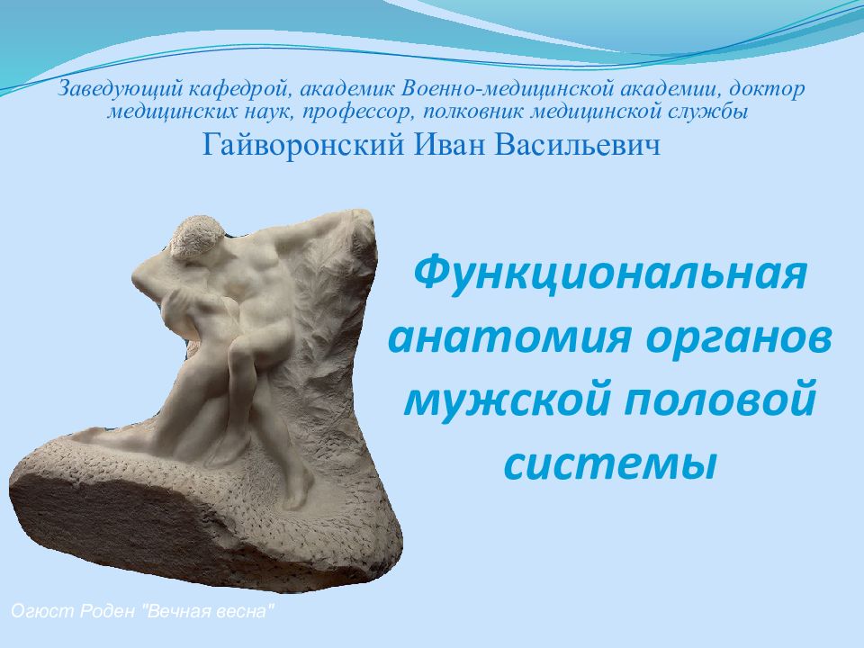 Функциональная анатомия органов мужской половой системы Заведующий кафедрой,