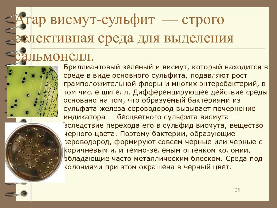 Среда для выделения сальмонелл. Среда для выделения сальмонелл. Хромогенная среда для сальмонелл. Хромогенная среда для сальмонелл. Хромогенные питательные среды микробиология.