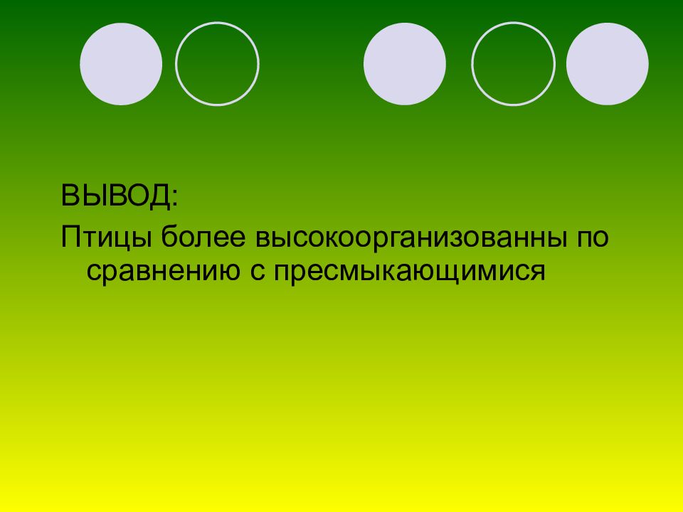 Птицы вывод. Докажите что птицы более высокоорганизованны чем пресмыкающиеся.