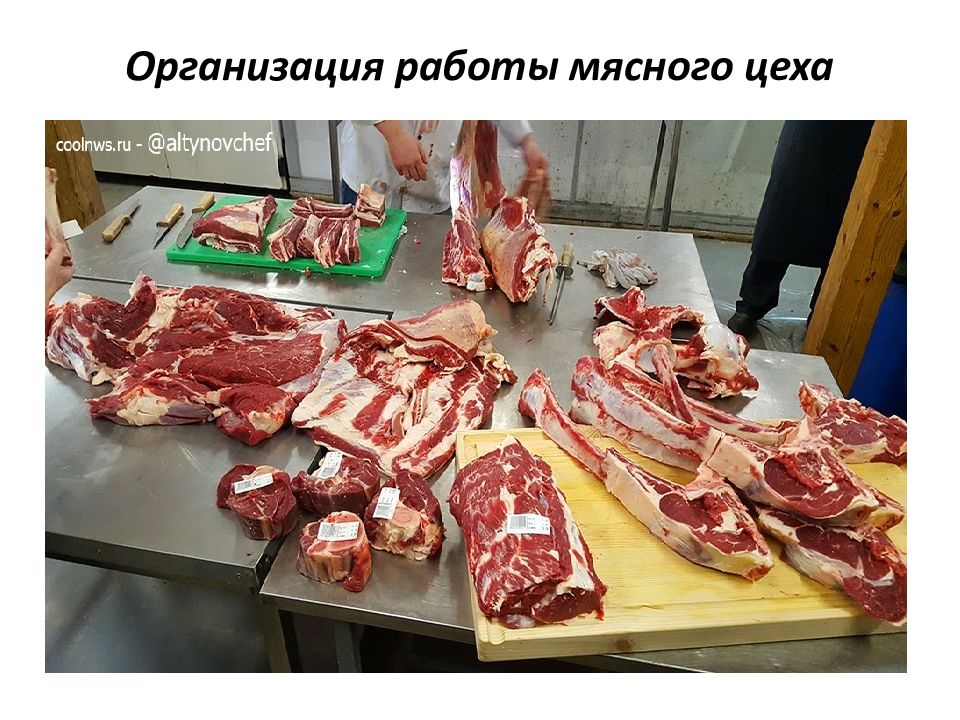 Организация работы мясного цеха