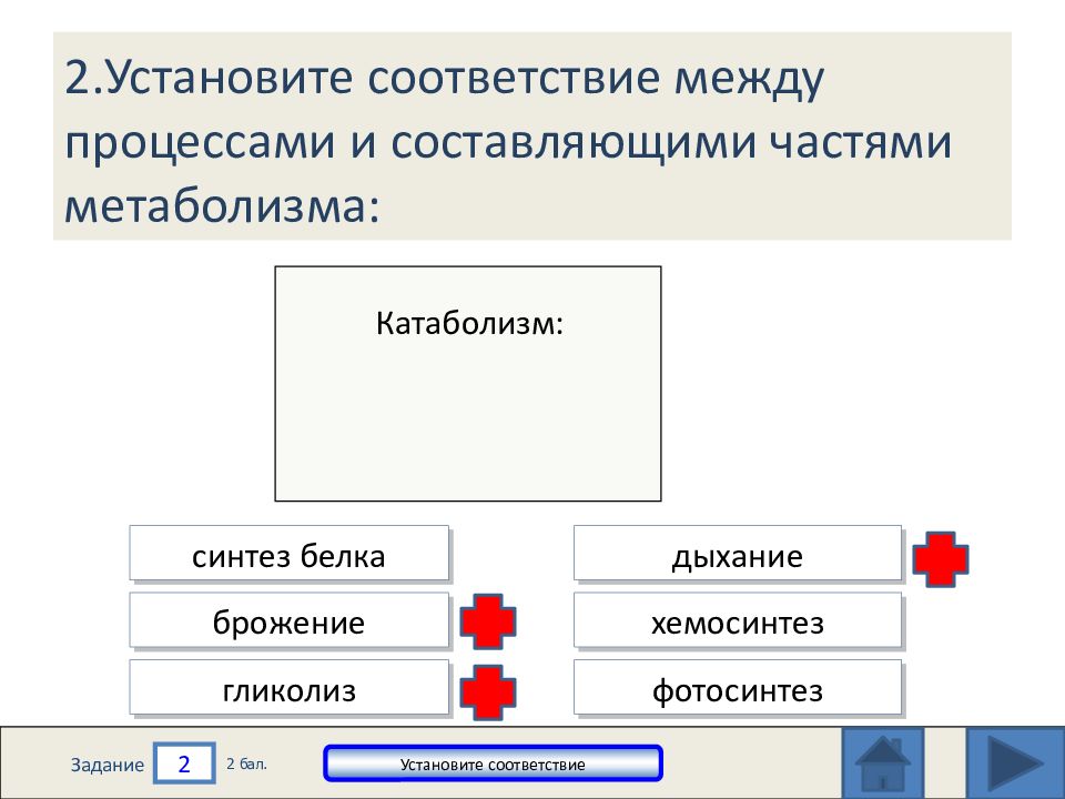 Презентация энергетический обмен в клетке 10 класс