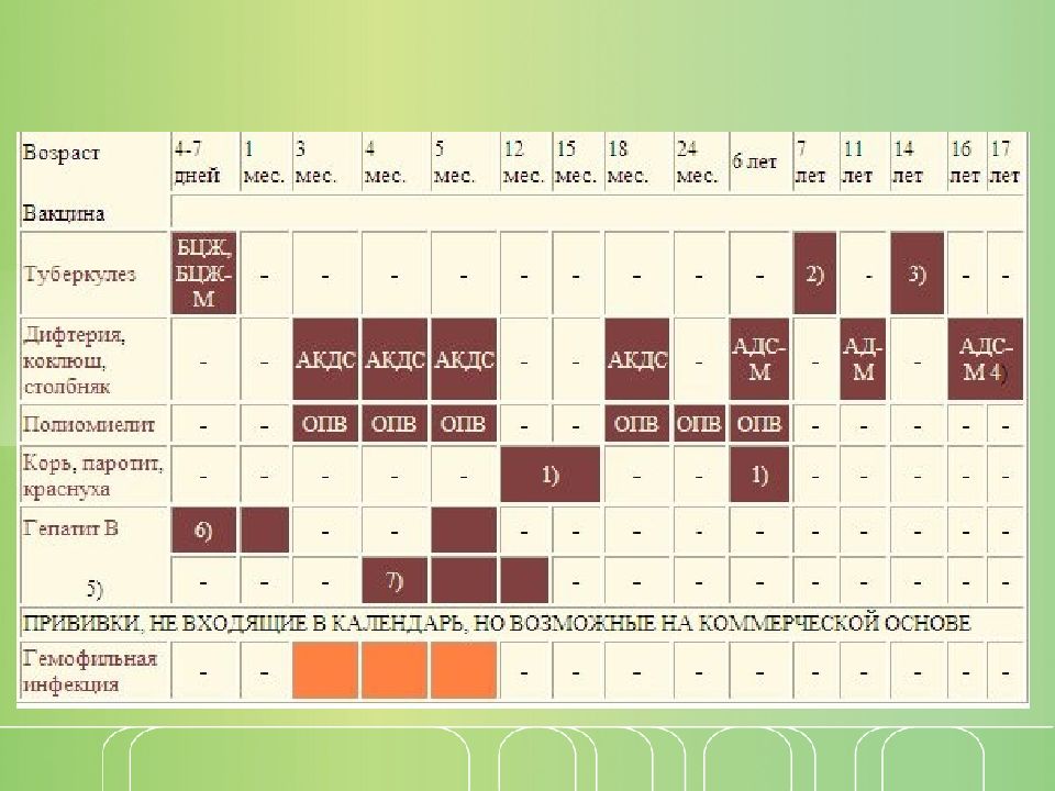 Акдс схема вакцинации детей
