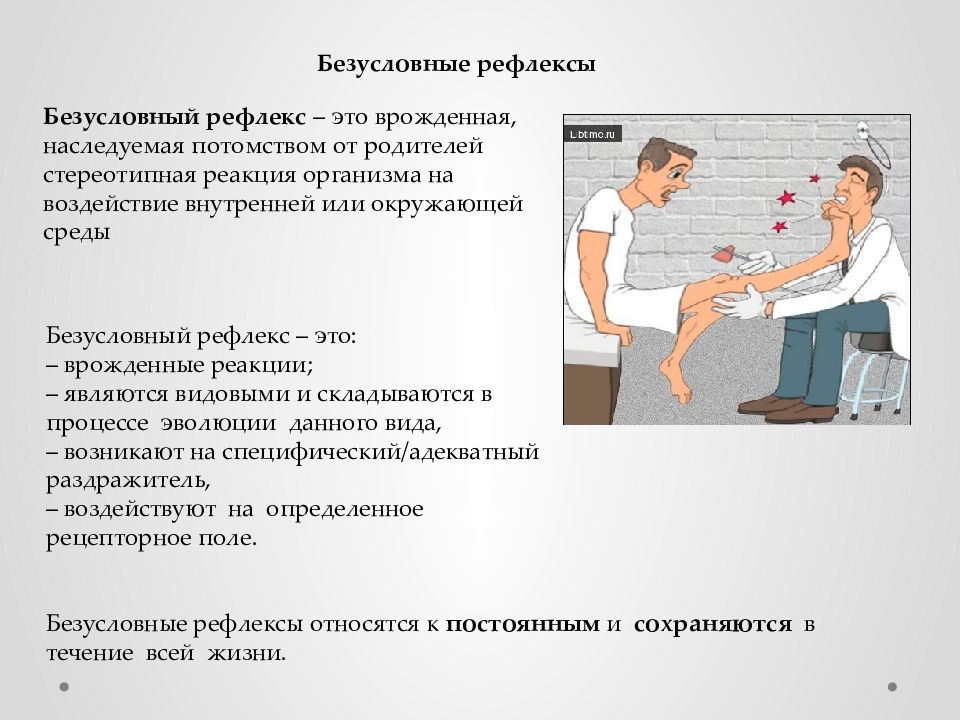 Условные рефлексы презентация