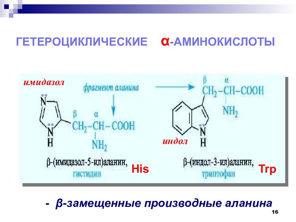Тест амины 10. Гетероциклические аминокислоты. Алифатические и гетероциклические аминокислоты. Аминокислоты презентация. Имидазол цикл.
