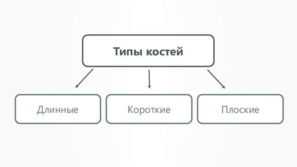 Костя длинный. Государство территория власти. Государство население и власть. Власть на территории. Государство схема населения территория власть.