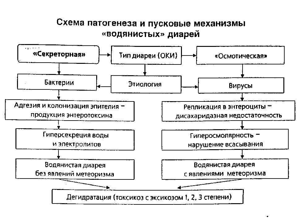 Острый кишечный инфекция у детей презентация