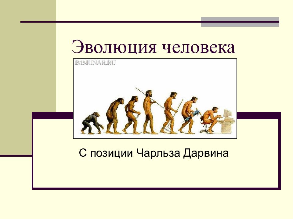 Эволюция человека тест 9 класс. Эволюция человека. Схема развития человека. Схема эволюции человека. Эволюция человека Дарвина.